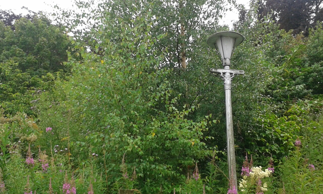 Dingleton Boilerhouse adjacent foliage and lamppost