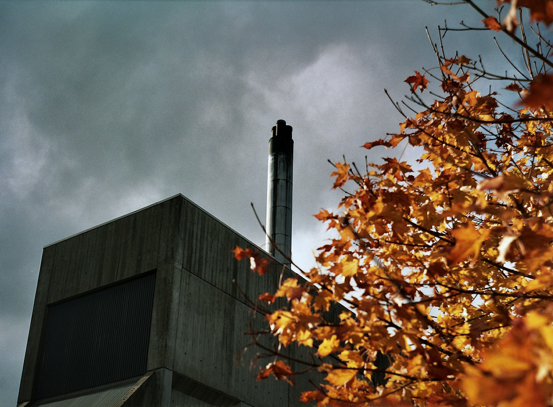 Dingleton Boilerhouse autumn leaves photo CJ Hurst